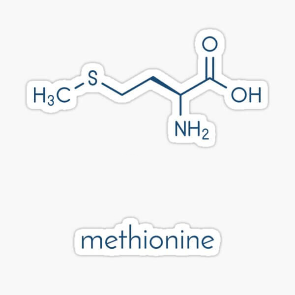 L-methionine picture 